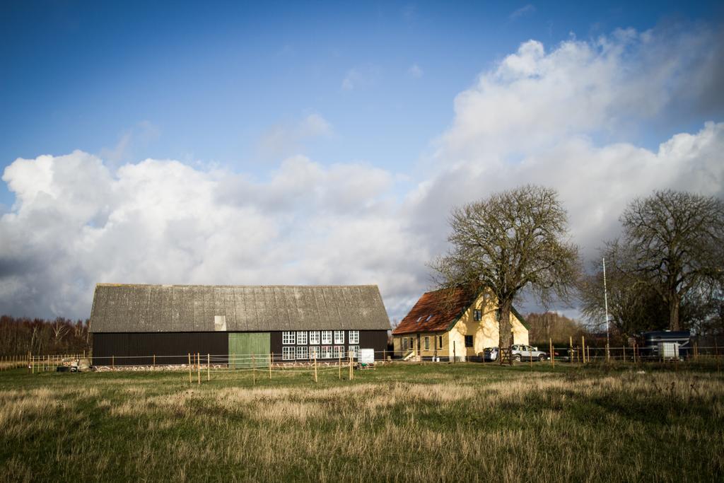 Froeken Hjorts Bed And Breakfast Höganäs Exteriér fotografie